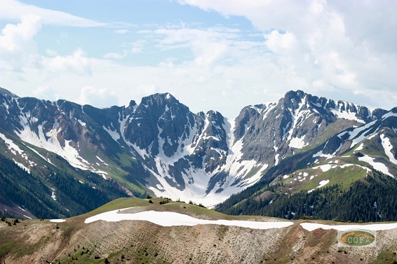 How should we respond to the Coronavirus?